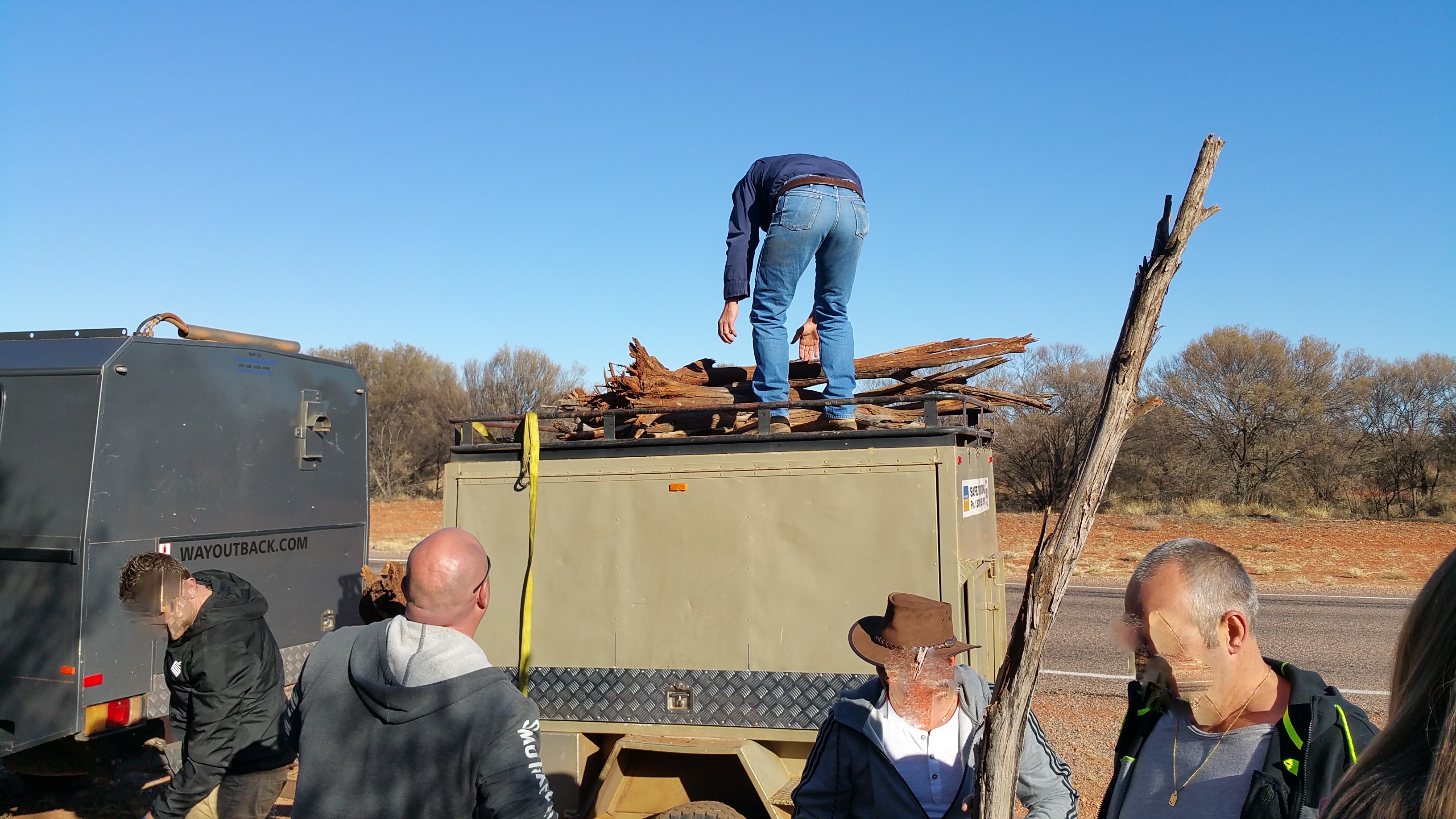 woodcollecting